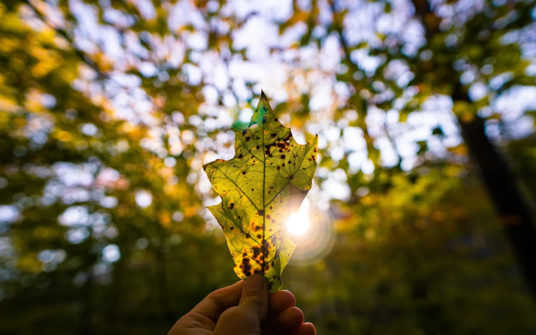 Nuevas normativas medioambientales 2023